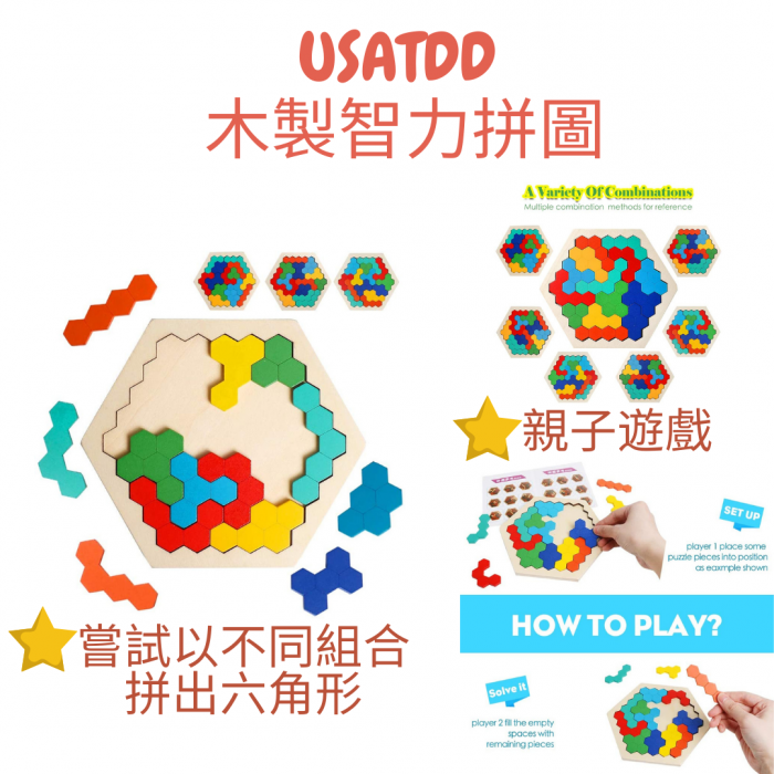 USATDD | 木製六角形智力拼圖